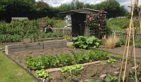 Allotments